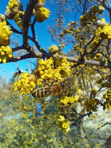 Czytaj więcej: Wyniki szkolnego konkursu fotograficznego „Wiosna, ach to TY…”