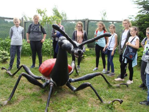 Czytaj więcej: WYCIECZKA EDUKACYJNA DO UJAZDU