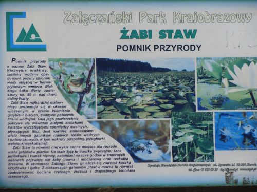 Czytaj więcej: Wycieczka do Załęcza Wielkiego