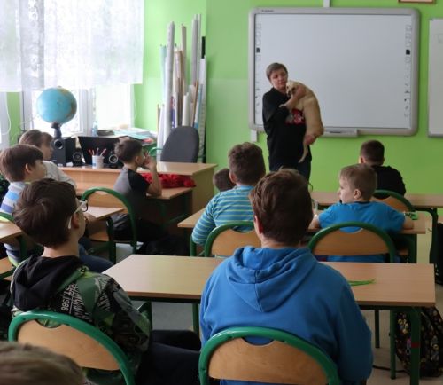 Czytaj więcej: Zbiórka charytatywna  na rzecz potrzebujących zwierząt