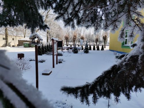 Czytaj więcej: Zimowy poranek w Szkole Podstawowej w Wygiełzowie